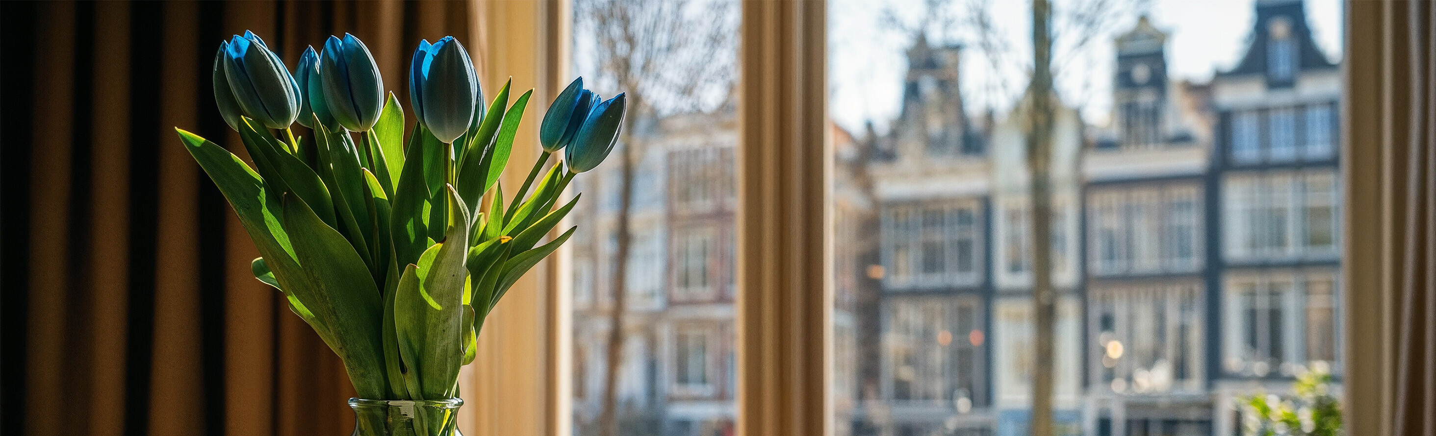 Gallant expands into Europe with first international acquisition